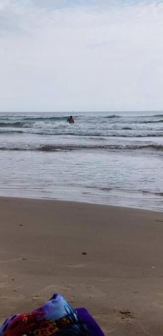 2 Bed 1 Bath Condo By Beach & Entertainment South Padre Island Eksteriør bilde