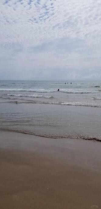 2 Bed 1 Bath Condo By Beach & Entertainment South Padre Island Eksteriør bilde